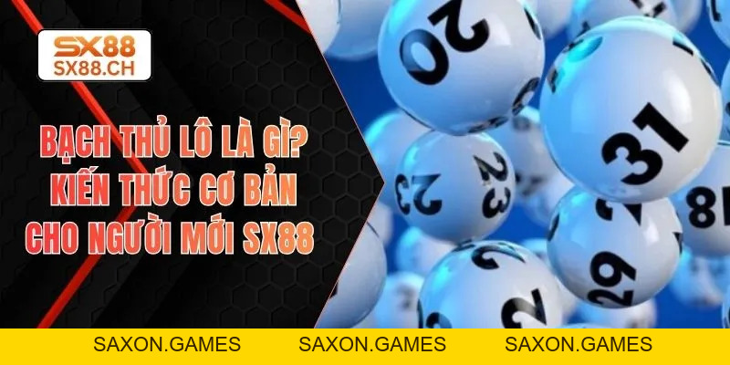 Bạch Thủ Lô Là Gì? Kiến Thức Cơ Bản Cho Người Mới SX88 - SAXON.GAMES