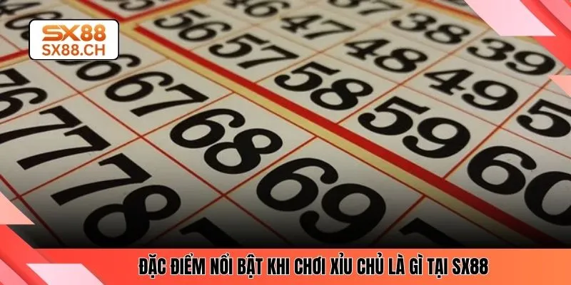 Xỉu Chủ Là Gì? Hướng Dẫn Cách Chơi Đơn Giản Nhất Tại SX88 - SAXON.GAMES