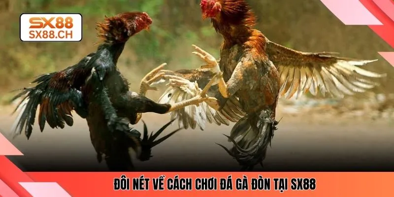Đá Gà Đòn SX88 – Kinh Nghiệm Chuẩn Xác Cho Người Mới - SAXON.GAMES
