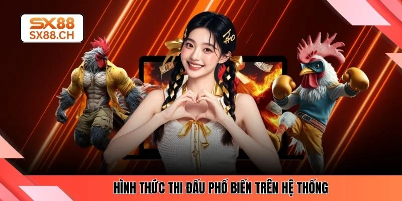 Đá Gà SX88 - Top 4 Điểm Nổi Bật Cho Anh Em Cược Thủ - SAXON.GAMES