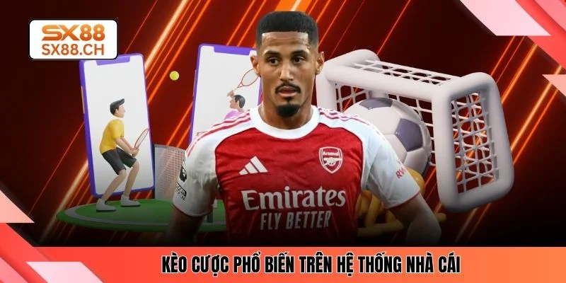 Thể Thao SX88 - Trải Nghiệm Top 5 Kèo Cá Cược Đỉnh Cao - SAXON.GAMES