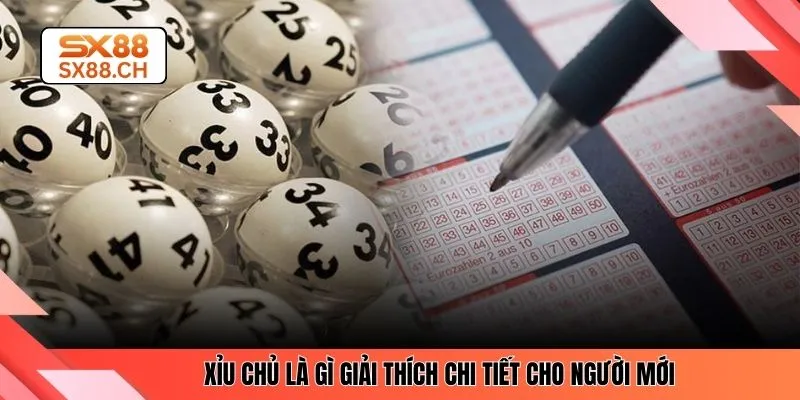Xỉu Chủ Là Gì? Hướng Dẫn Cách Chơi Đơn Giản Nhất Tại SX88 - SAXON.GAMES