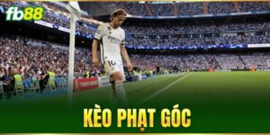 Tin Tức - FB88 nhà cái - SAXON.GAMES