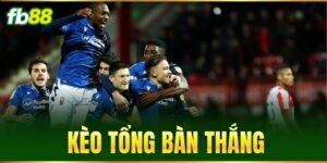 Tin Tức - FB88 nhà cái - SAXON.GAMES
